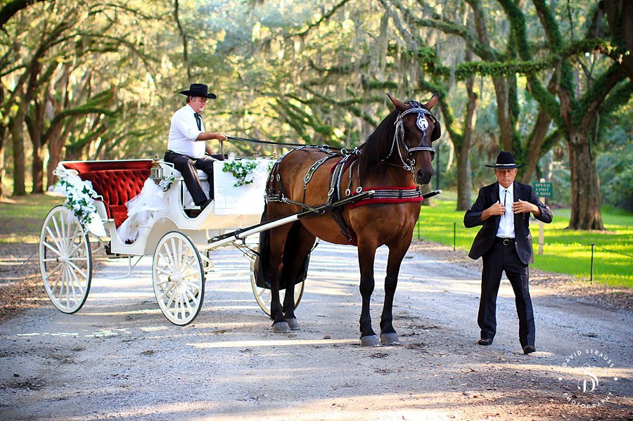 Savannah Wedding - Wormsloe Historic Park Avenue of Oaks - Old Pink House Reception - 13
