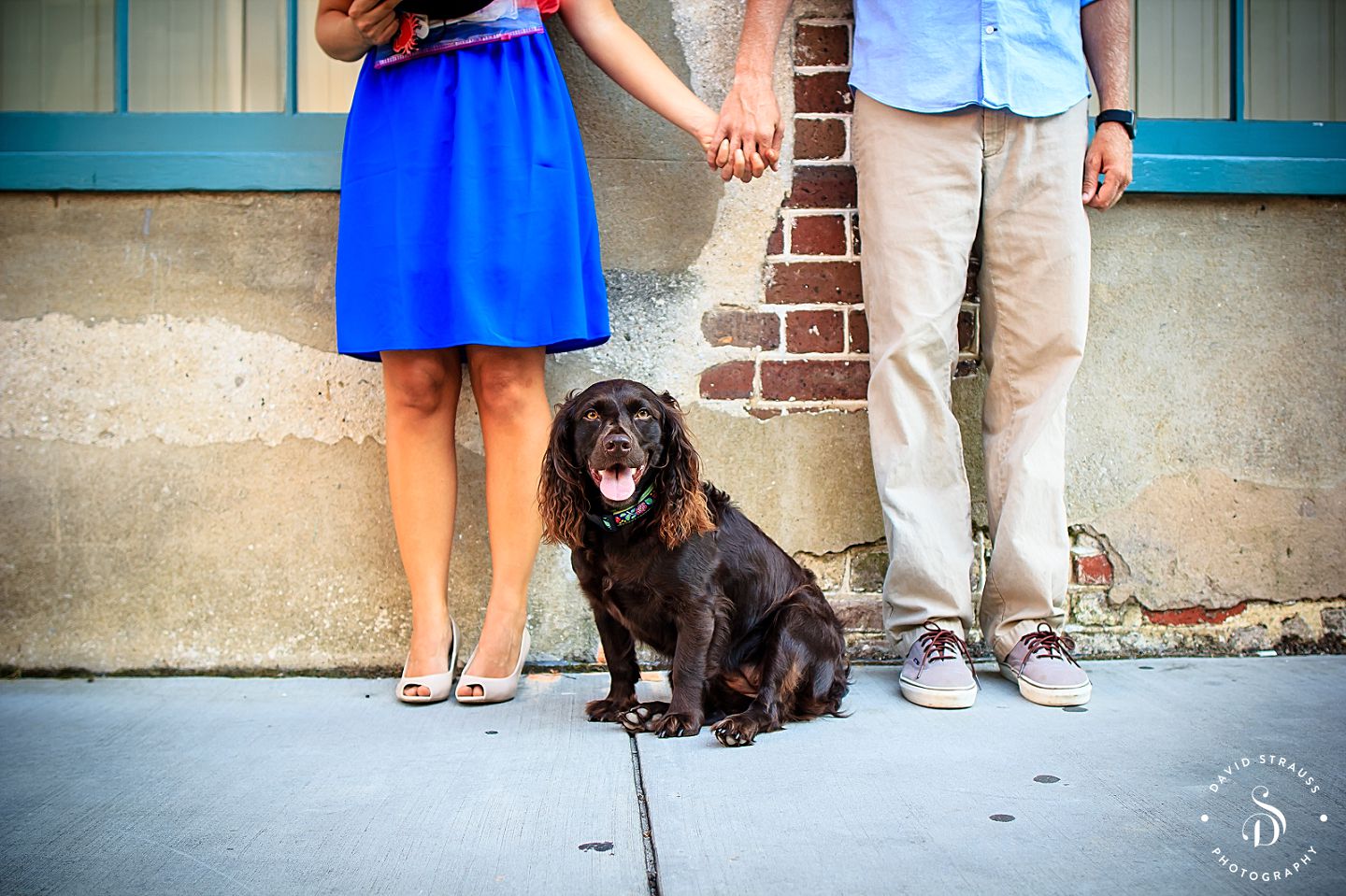 Charleston Engagement Photographer - Hampton Park Portraits - Robyn and Brian -1