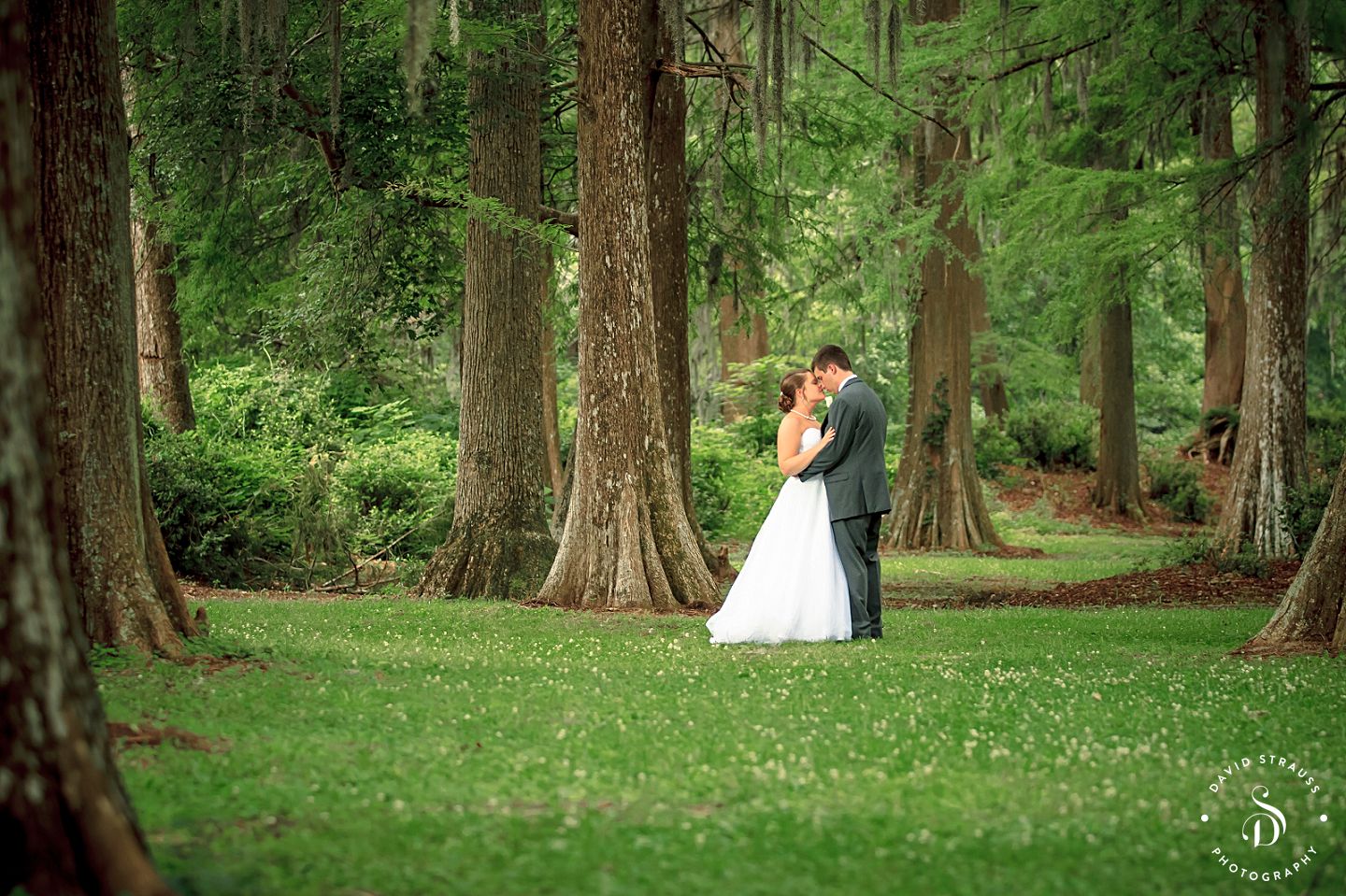 Orangeburg Wedding Photography - Charleston Wedding Photographer - David Strauss