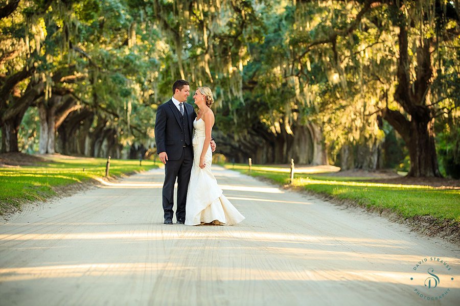 Avenue of Oak pictures - Charleston Wedding Photographer - Alexis and Steve