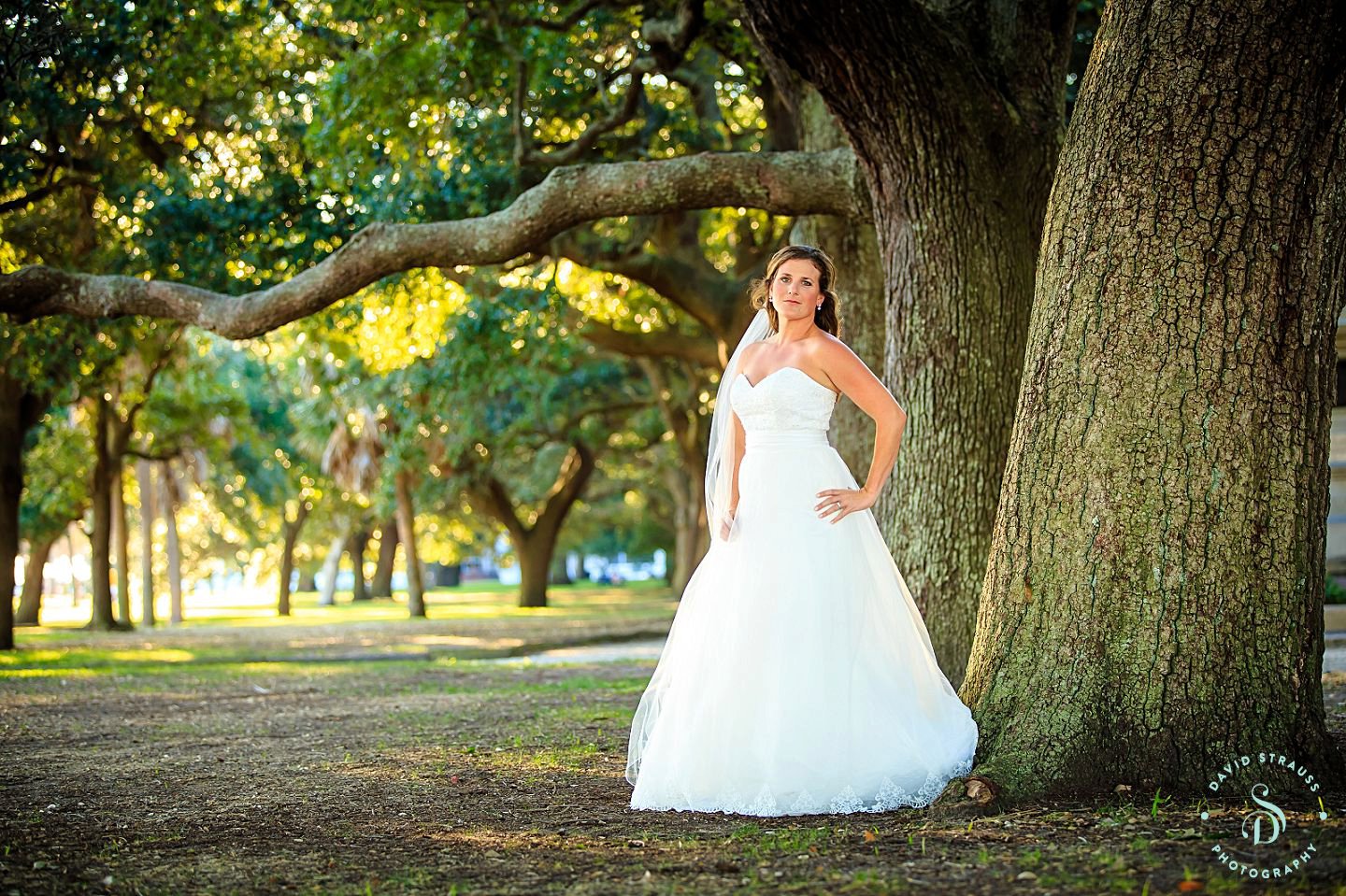 Bridal photos - Holly - David Strauss Photography