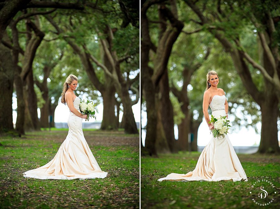 Wedding Photographer David Strauss - Charleston Bridal Portrait - Nacole