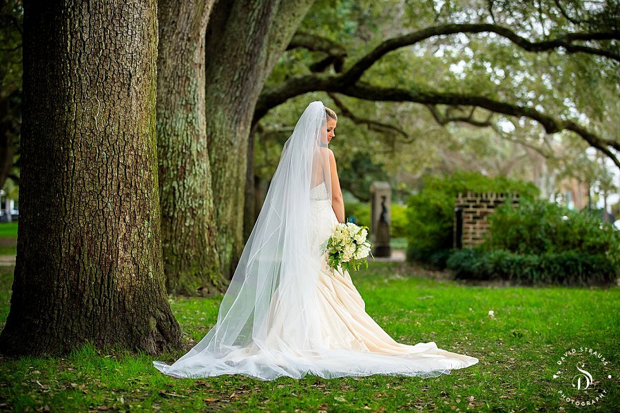Wedding Pictures - Charleston Bridal Portrait - Nacole