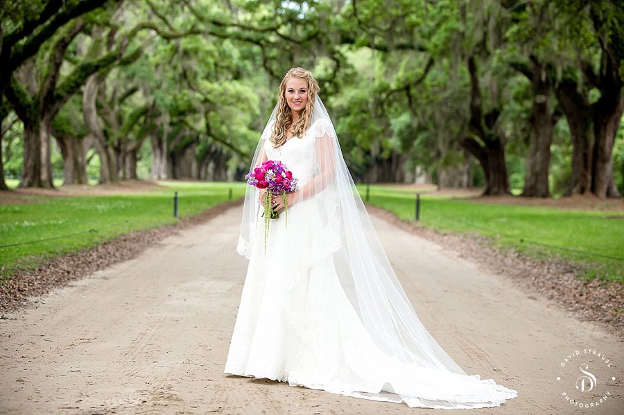 Bridal Avenue of Oaks - Boone Hall Wedding Photographer - Ashley and Chase