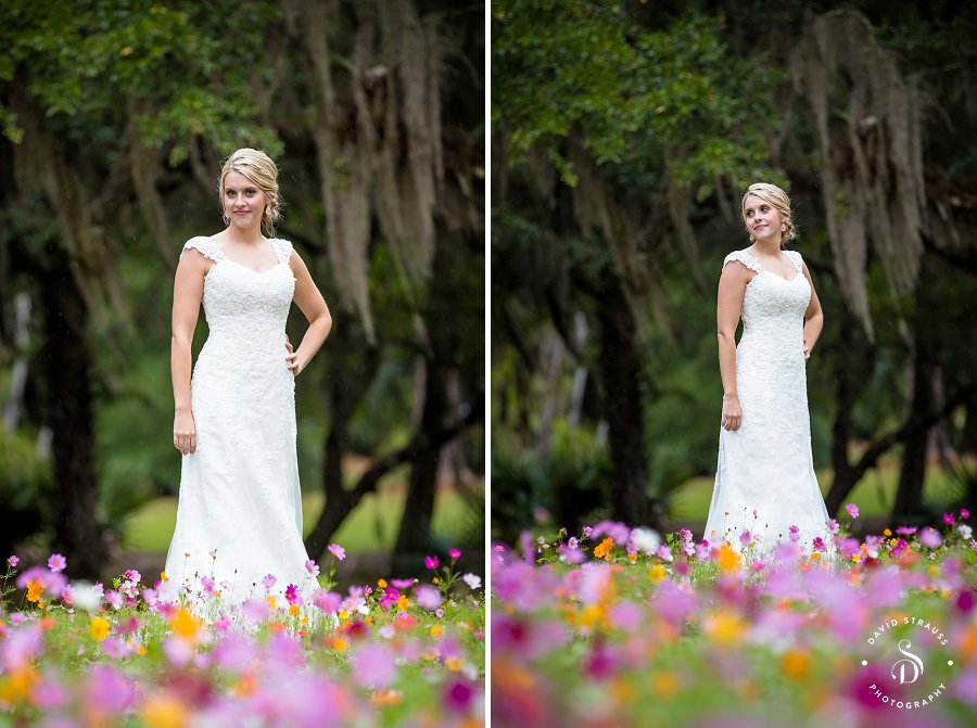 Boone Hall Plantation Wedding Pictures - Poppy Field - Avenue of Oaks - Gate - Bride and Groom -32